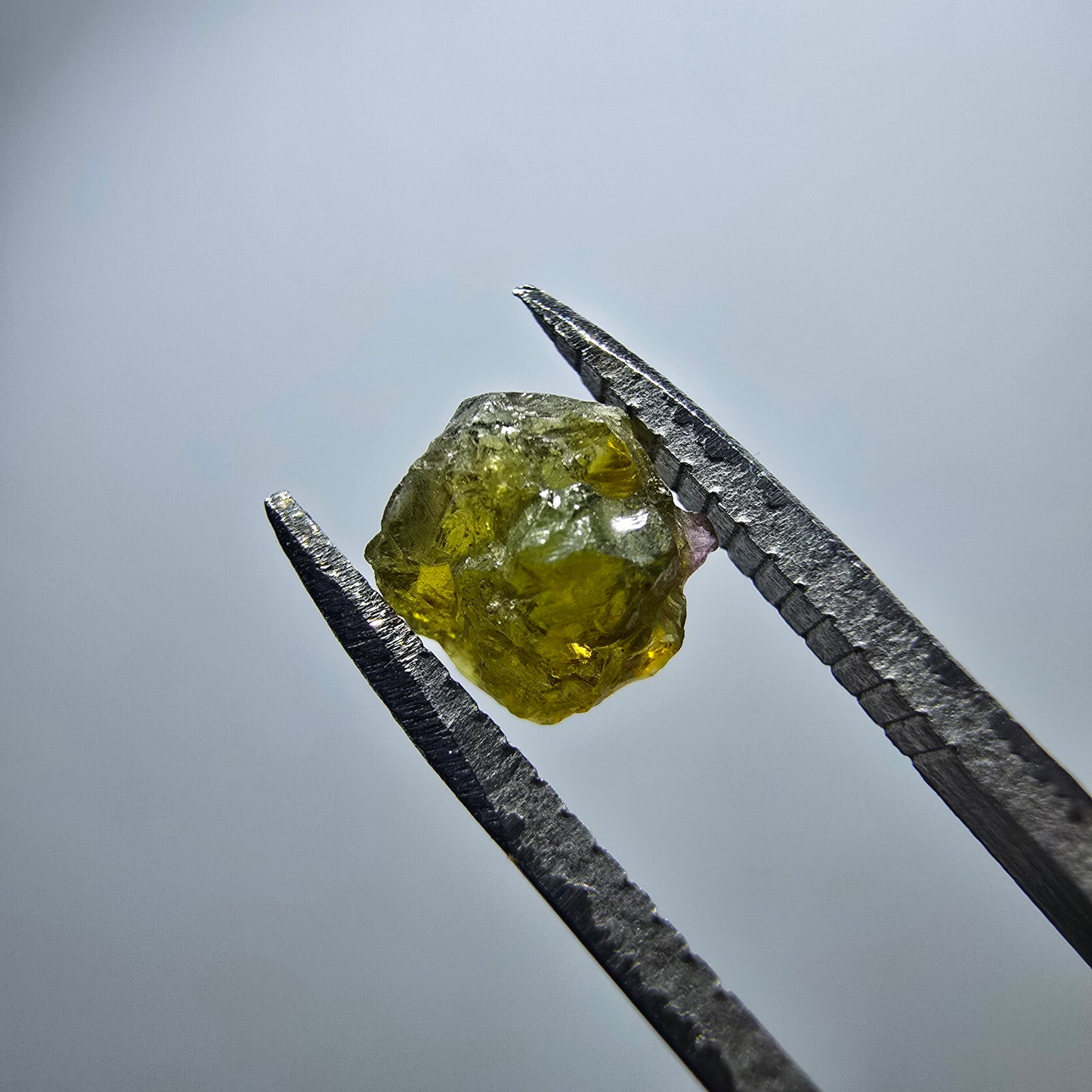 Cristal de tourmaline verdélite rare, vert Minas Gerais, Brésil #7991