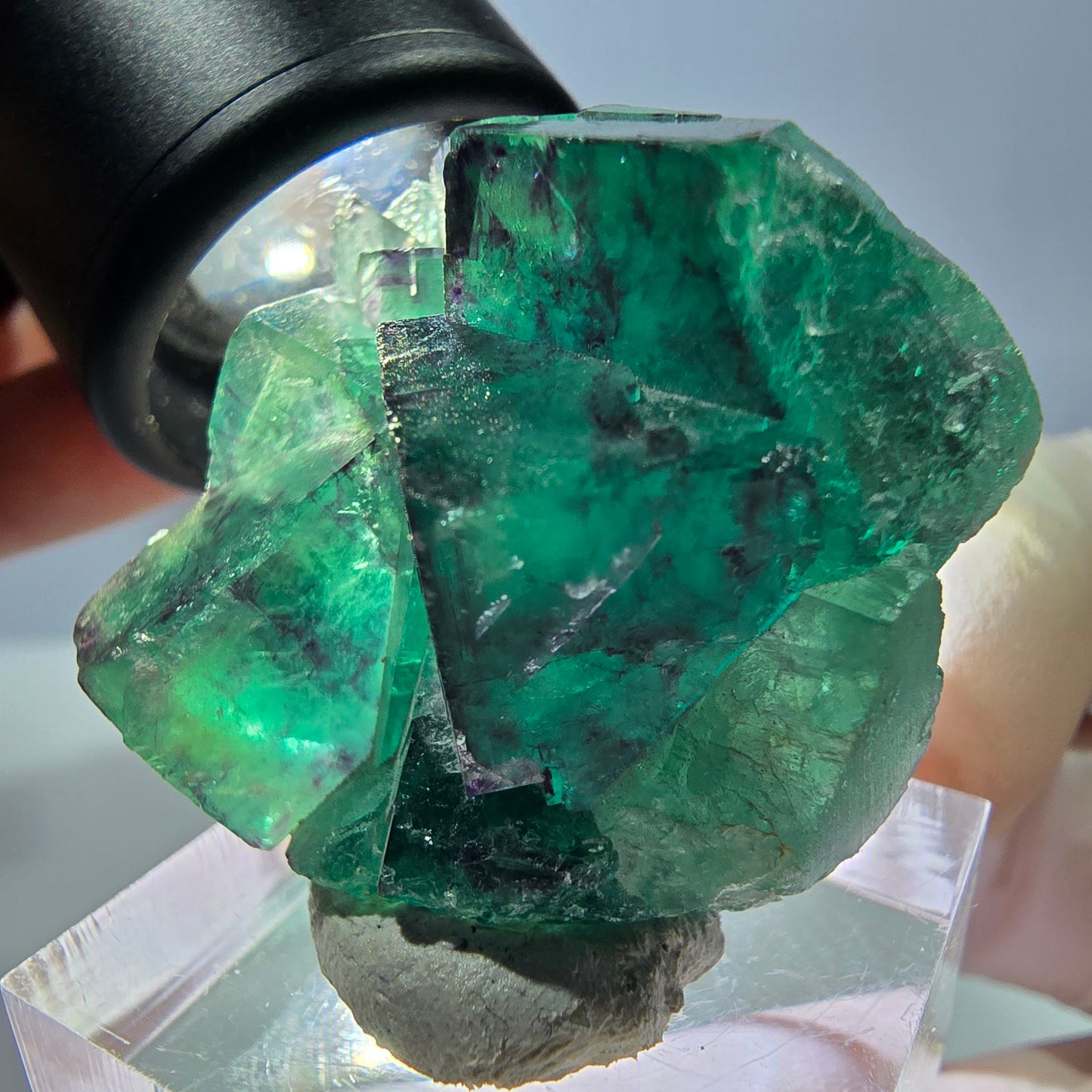 Spécimen de cube de fluorite fantôme, parqueté vert violet Okorusu, Namibie 32 x 30 x 20 mm