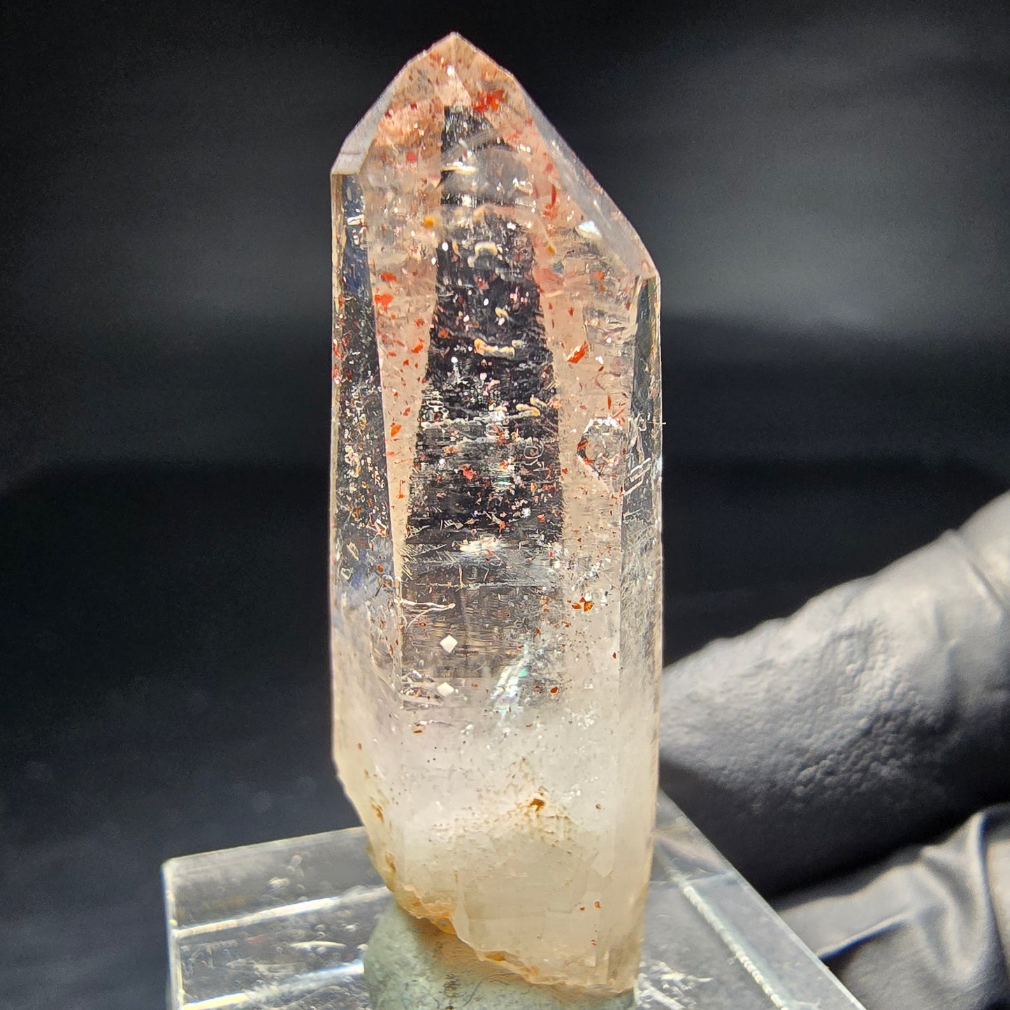 Klare Rauchquarz Spitze mit rotem Eisen Goboboseb Namibia 38*14*11mm Sammlung