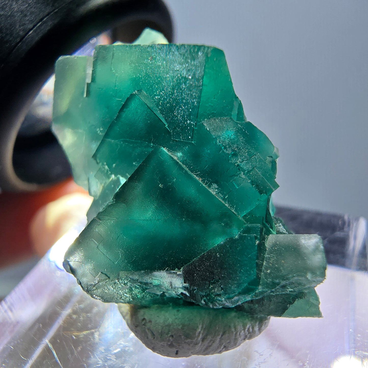 Phantom Fluorit Würfel Stufe, grün parkettiert Okorusu, Namibia 30*18*14mm