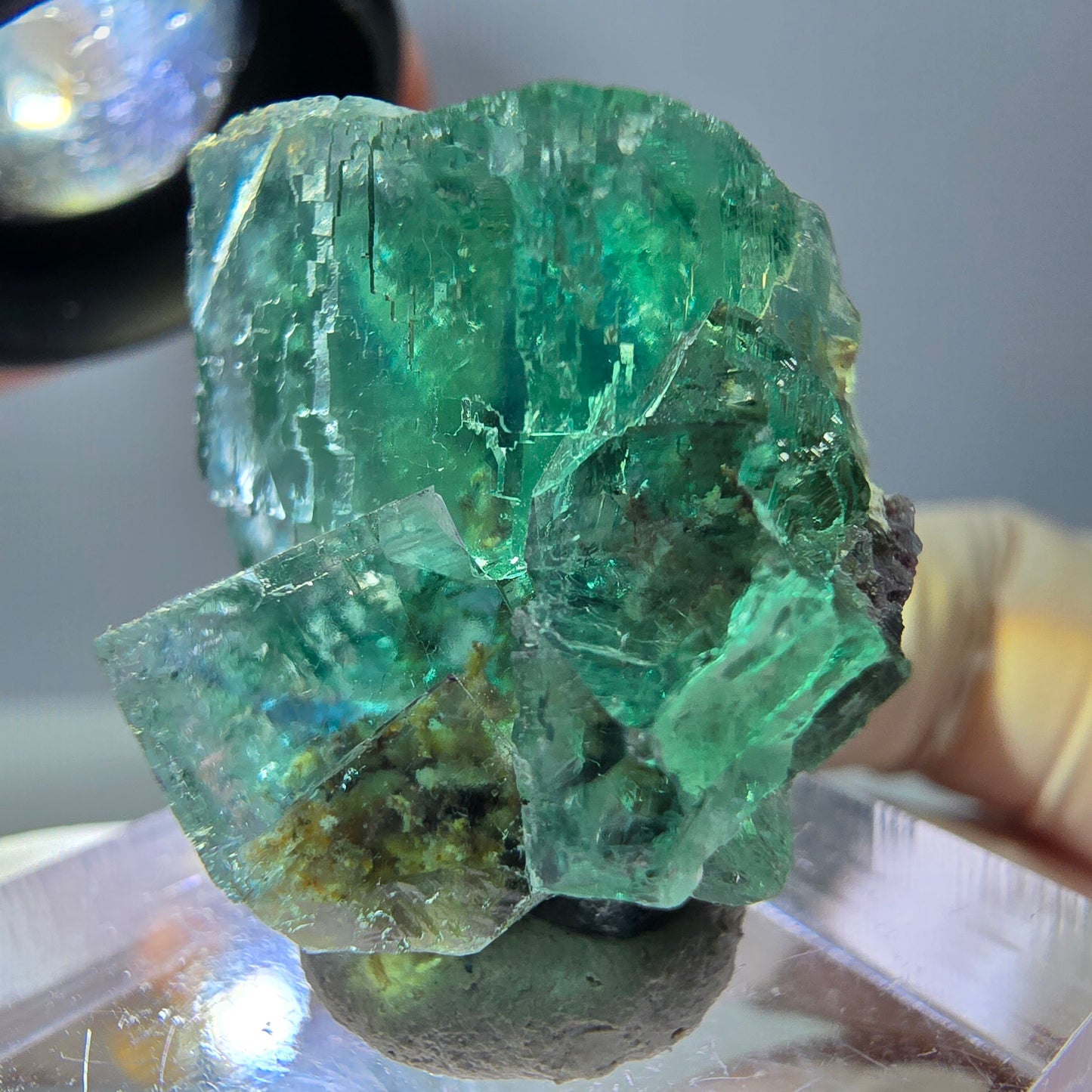 Phantom Fluorit Würfel Stufe, grün parkettiert Okorusu, Namibia 27*24*20mm