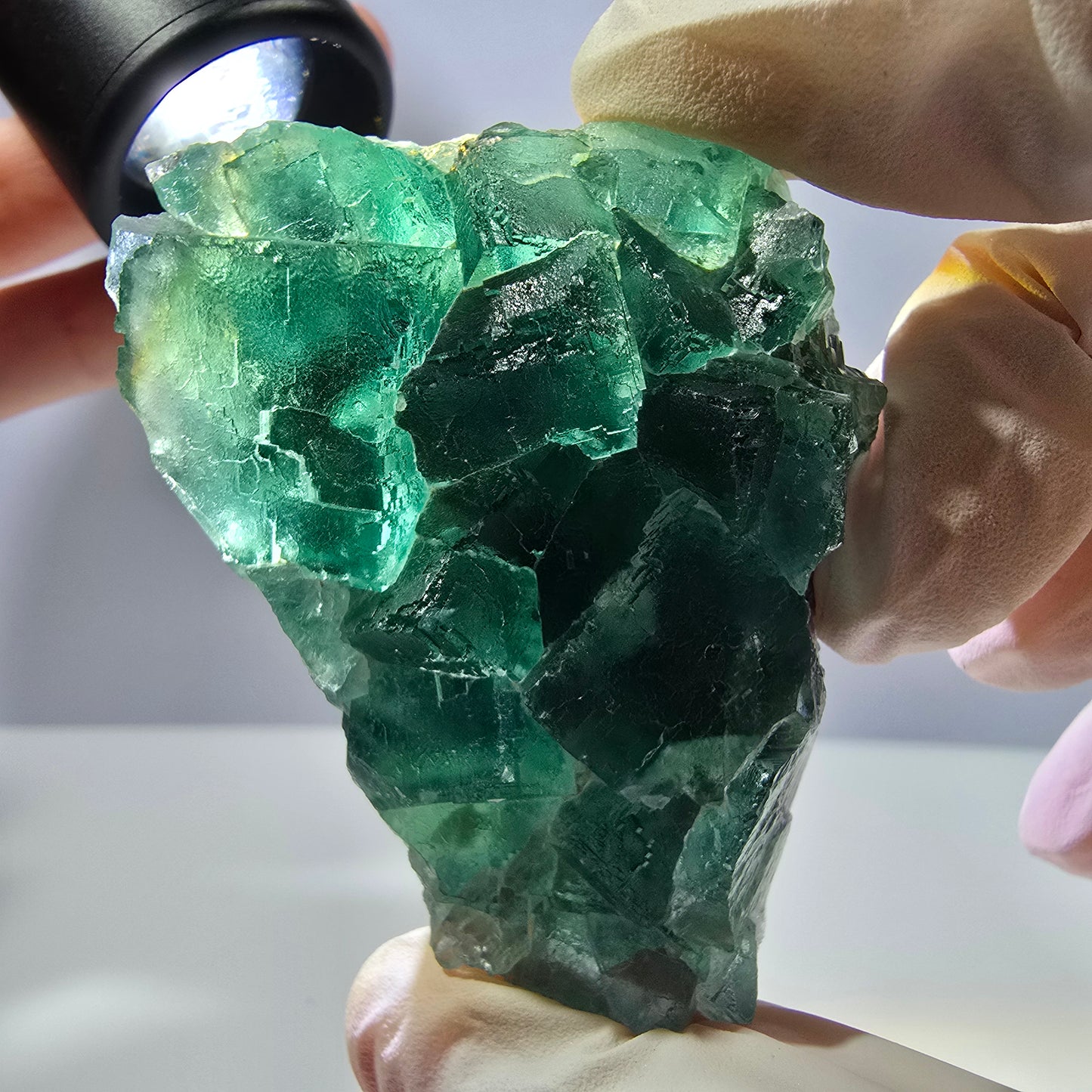 Rare spécimen de cube de fluorite fantôme, parqueté vert Okorusu, Namibie, 61 x 48 x 24 mm