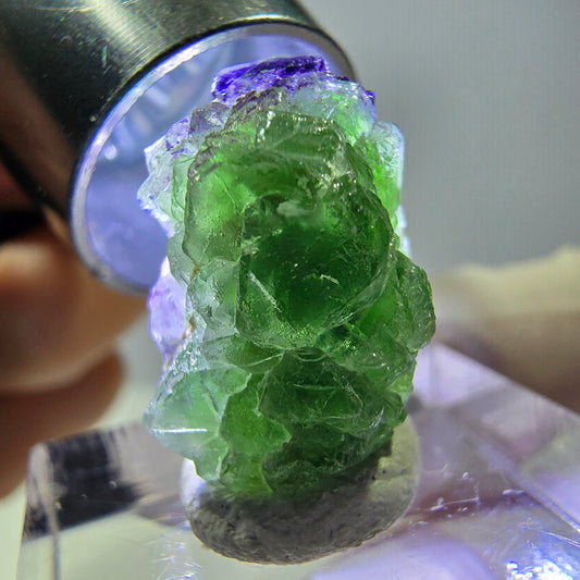 Cube de fluorite fantôme, zonal, spécimen de tourmaline Schorl, Erongo, Namibie, 18 x 12 x 12 mm