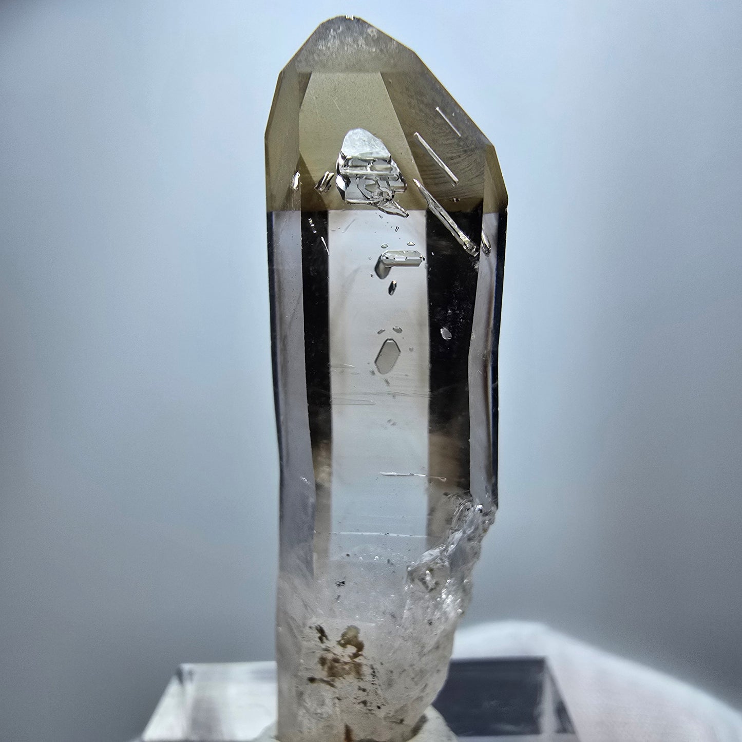 Klarer Phantom Rauchquarz Zepter Kristall Goboboseb, Namibia 42*12*11mm