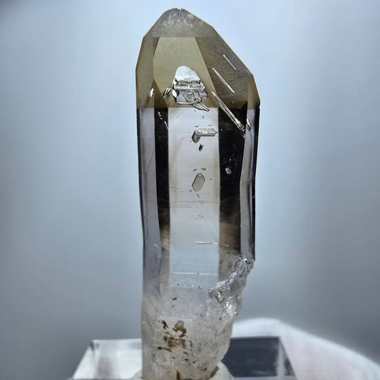 Klarer Phantom Rauchquarz Zepter Kristall Goboboseb, Namibia 42*12*11mm