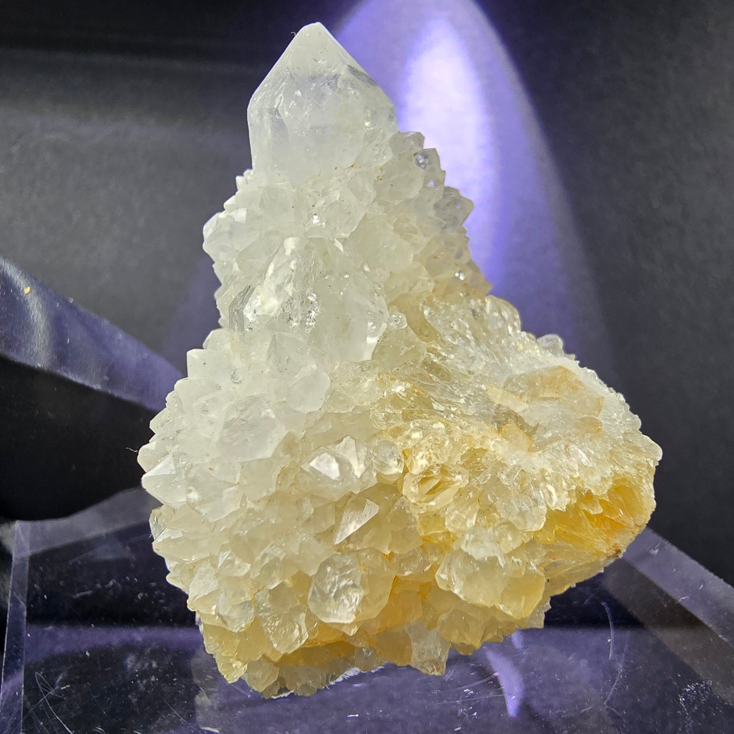 Seltene Kaktusquarz, Spirit Quarz XX Stufe 35*37*30mm Boekenhouthoek, Südafrika