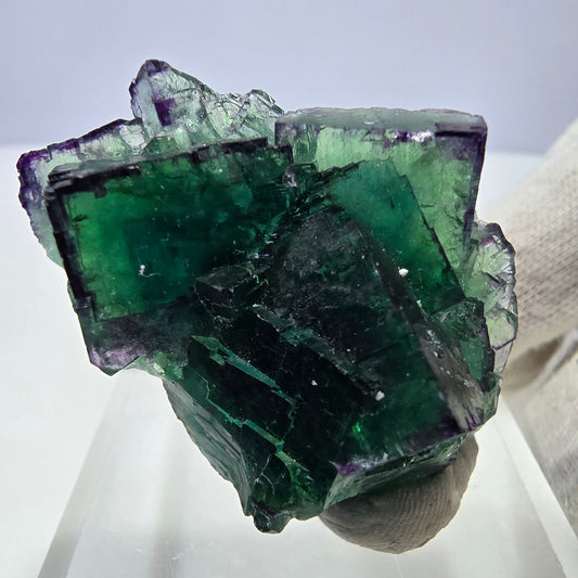 Spécimen rare de cube de fluorite fantôme, vert-violet zonal, Okorusu, Namibie, 47 x 33 x 21 mm