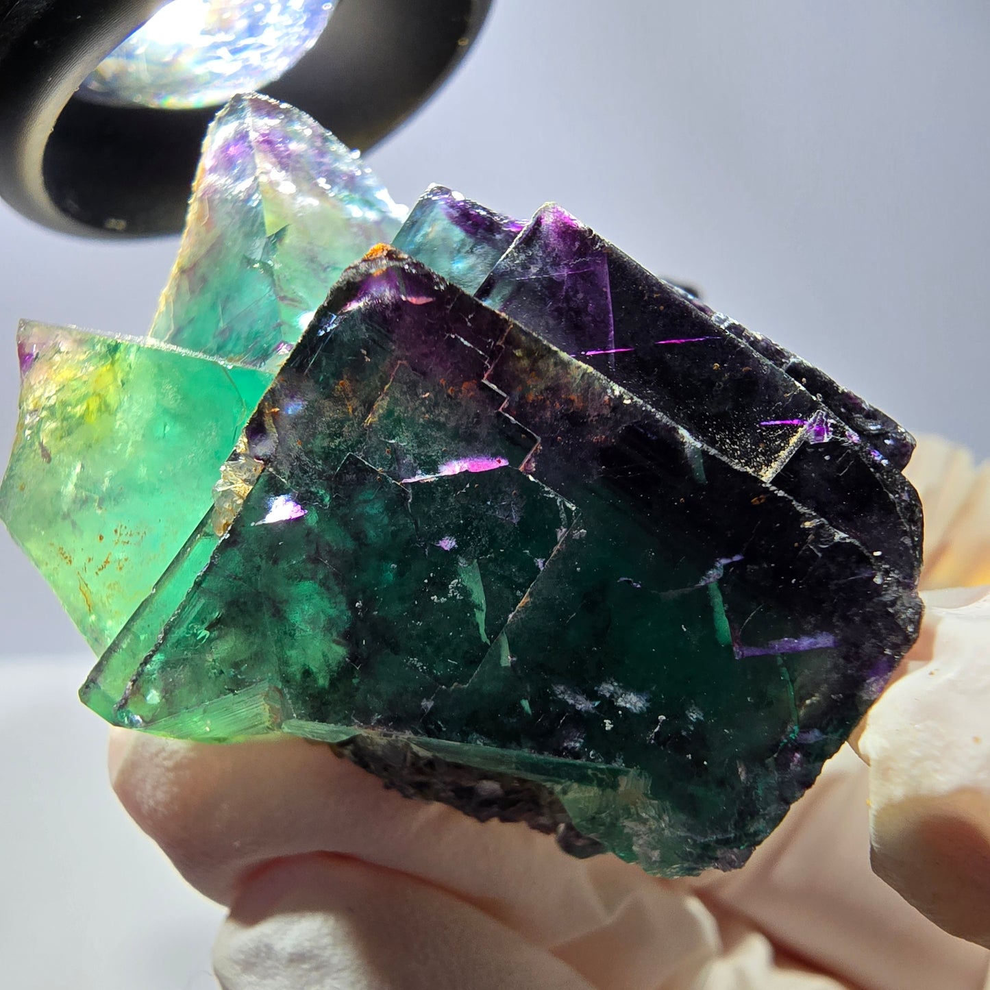 Spécimen de cube de fluorite fantôme, parqueté vert violet Okorusu, Namibie 59*41*24 mm
