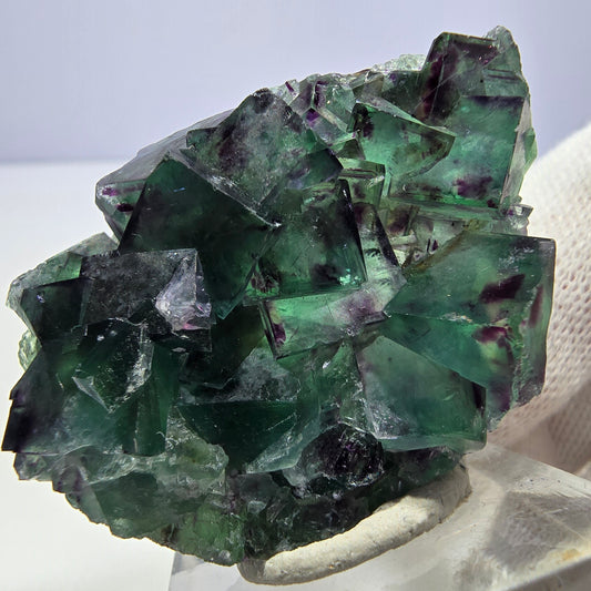 Spécimen de cube de fluorite fantôme transparente, vert-violet zonal, Okorusu, Namibie, 45 x 31 x 13 mm