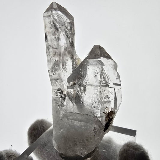 Sceptre fantôme squelette en quartz fumé, poche Saint-Valentin, Namibie, 70 x 34 x 18 mm