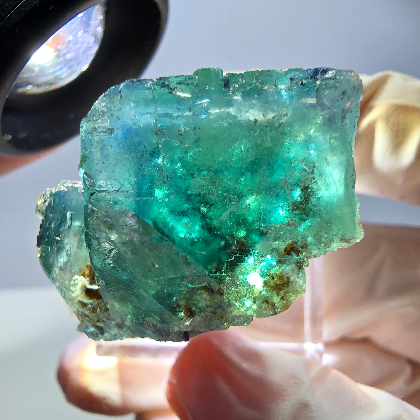 Phantom Fluorit Würfel Stufe, grün parkettiert Okorusu, Namibia 30*24*23mm