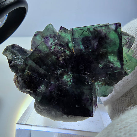 Rare spécimen de cube de fluorite fantôme, vert-violet zonal, Okorusu, Namibie, 47 x 30 x 15 mm