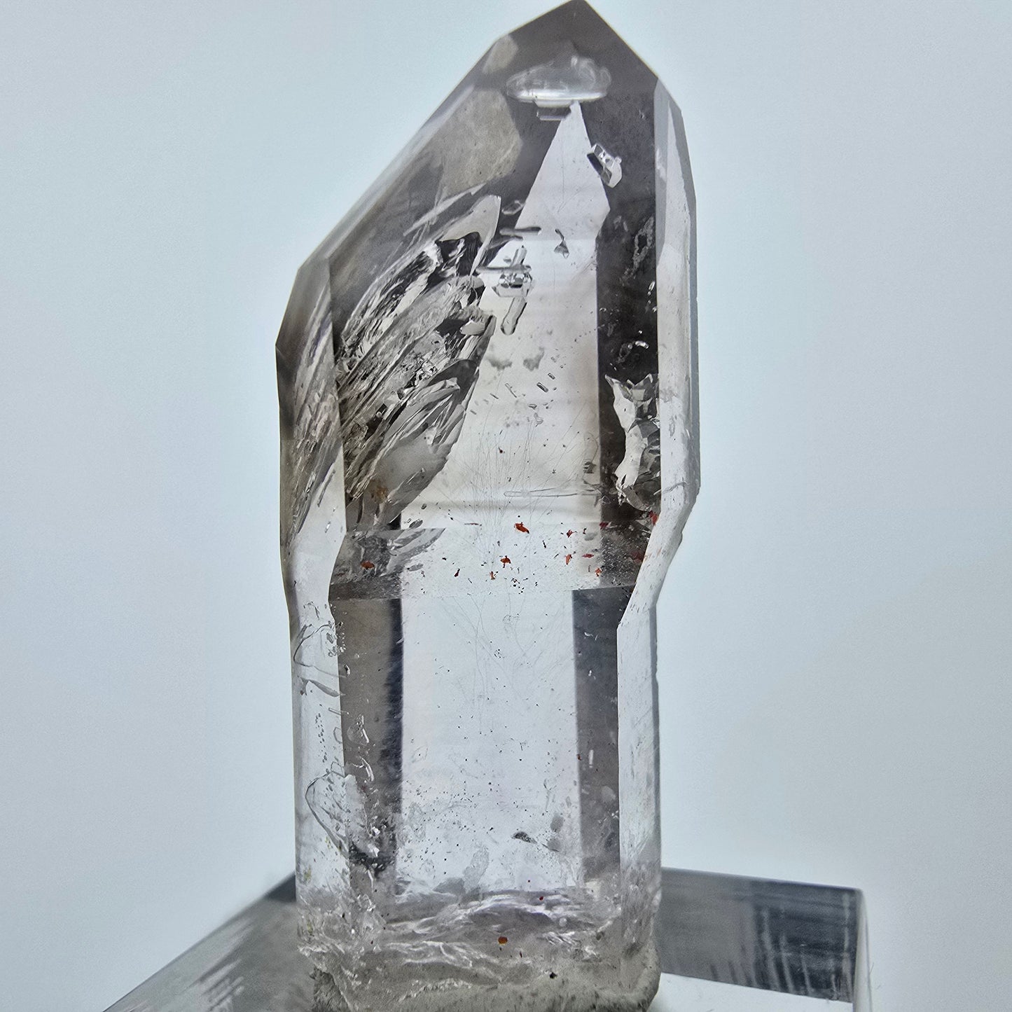 Enhydro Phantom Rauchquarz Lemurian Zepter 3x Blase Goboboseb Namibia 39*16*15mm