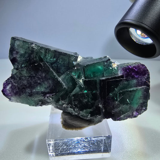 Spécimen rare de cube de fluorite fantôme, vert-violet zonal, Okorusu, Namibie, 68 x 32 x 20 mm