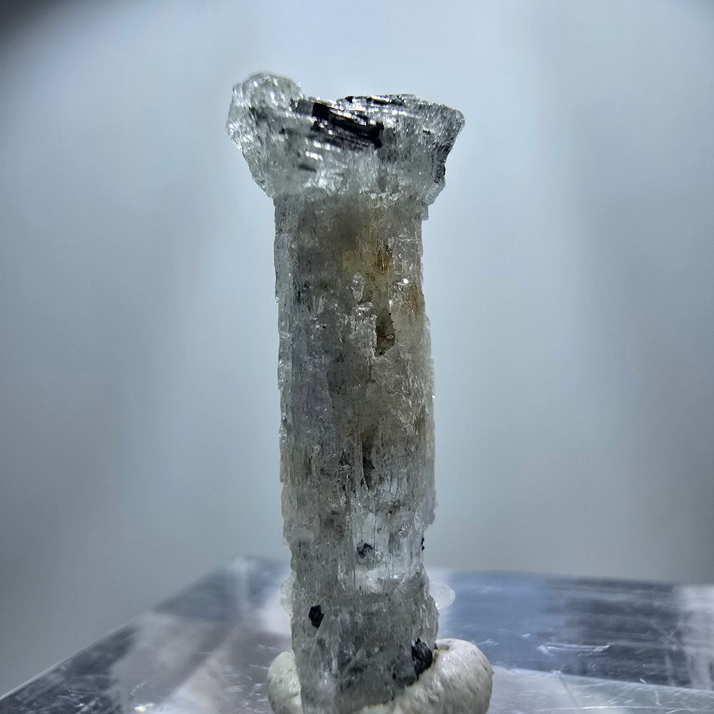 Seltener Aquamarin X mit Schörl Turmalin Erongo, Namibia 21*8*6mm