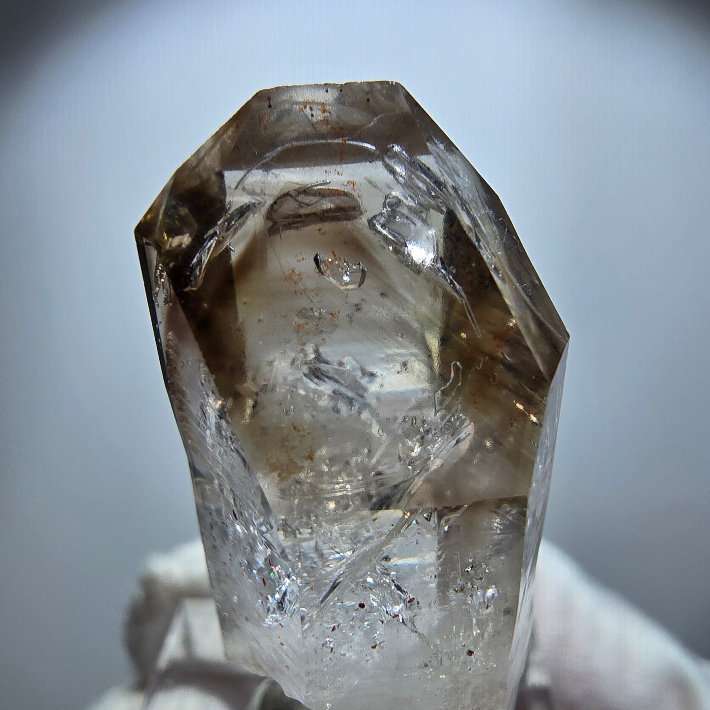 Enhydro Phantom Rauchquarz Zepter, 1x Blase Goboboseb, Namibia 41*17*14mm