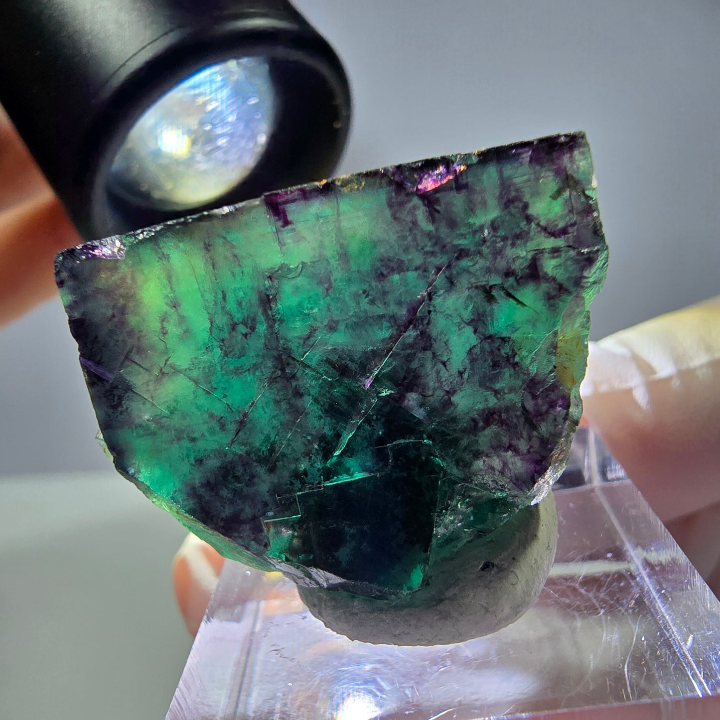 Rare cube de fluorite fantôme parqueté vert violet Okorusu Namibie 32*23*19mm