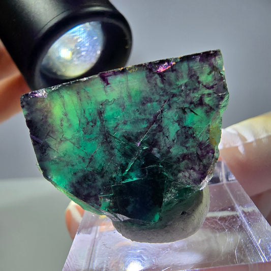 Rare Phantom Fluorite Cube parquetted green purple Okorusu Namibia 32*23*19mm