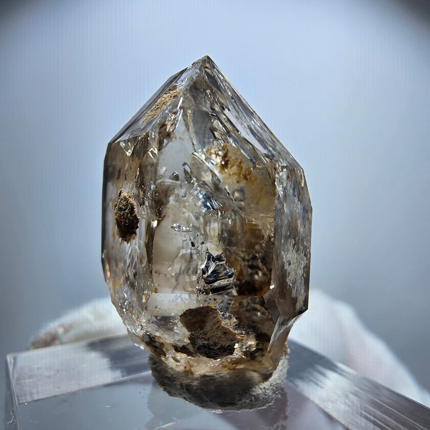 Enhydro Phantom Rauchquarz Fenster Zepter, 2x Blase Goboboseb Namibia 26*21*14mm