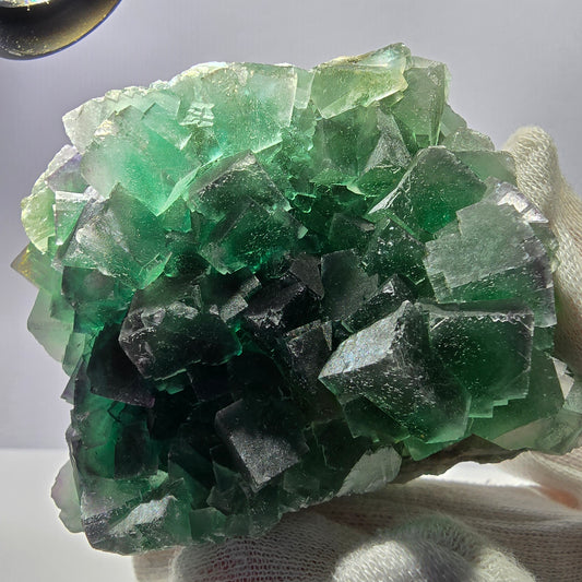 Grand spécimen de cube de fluorite fantôme, parqueté, double face Okorusu, Namibie 98*91*71mm