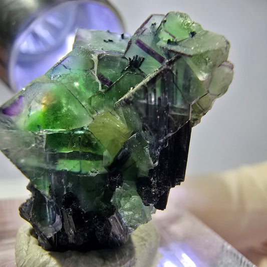 Cube de fluorite fantôme, zonal, muscovite, spécimen de tourmaline Schorl, Erongo, Namibie, 22 x 20 x 15 mm