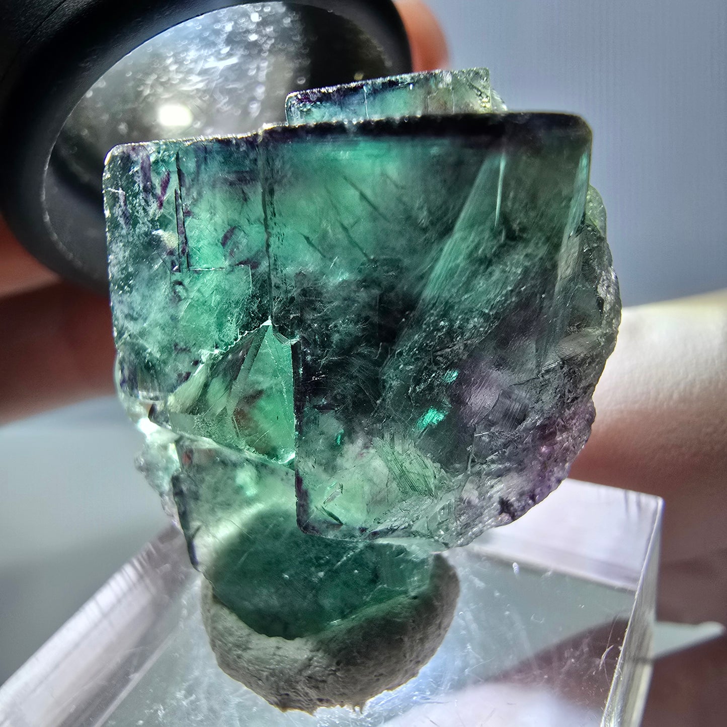 Spécimen de cube de fluorite fantôme, parqueté vert violet Okorusu, Namibie 30*26*17 mm