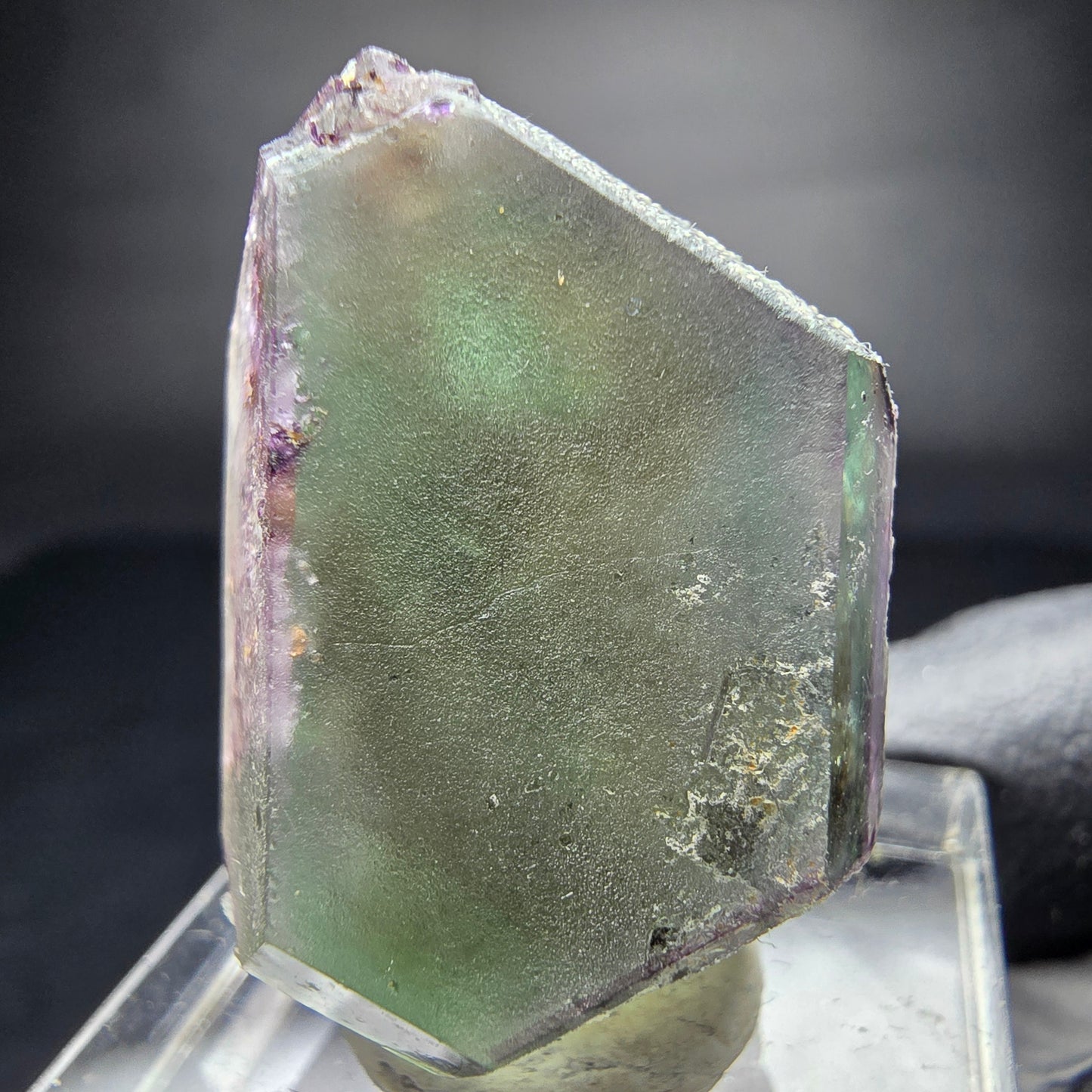 Zonar Phantom Fluorite Cube Tier Vert Violet Erongo Namibie 29*20*17mm