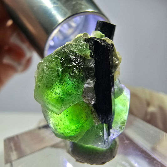 Cube hexagonal de fluorite fantôme, muscovite, tourmaline Schörl, Erongo, Namibie, 22 x 17 x 12 mm