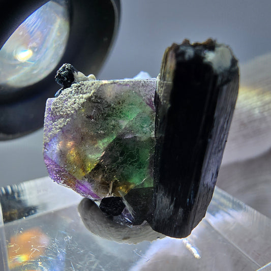 Spécimen de cube de fluorite fantôme zonal, de muscovite et de tourmaline Schorl, Erongo, Namibie, 25 x 20 x 18 mm