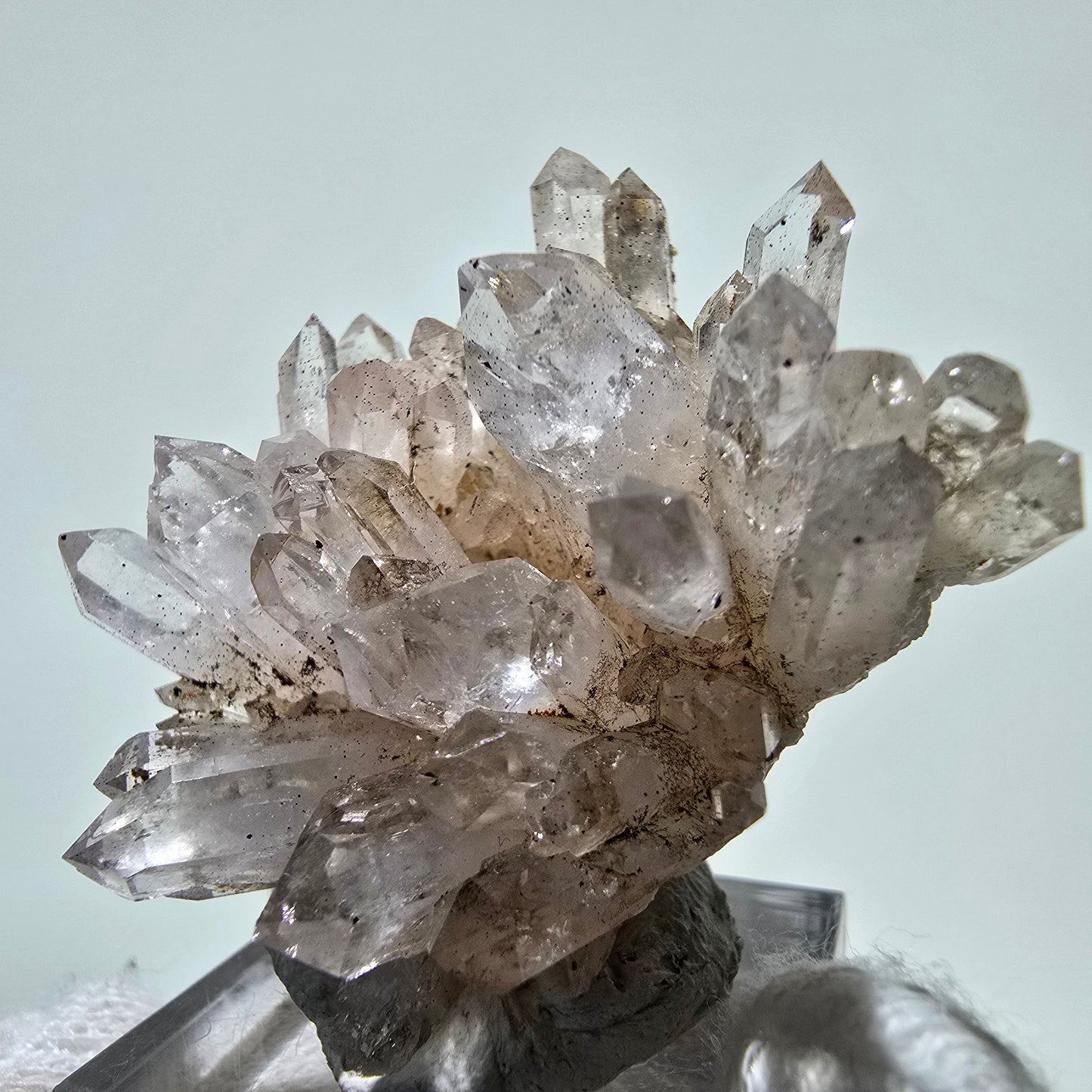 Phantom Smoky Quartz Scepter Cluster Valentine Pocket, Namibia 46*43*25mm