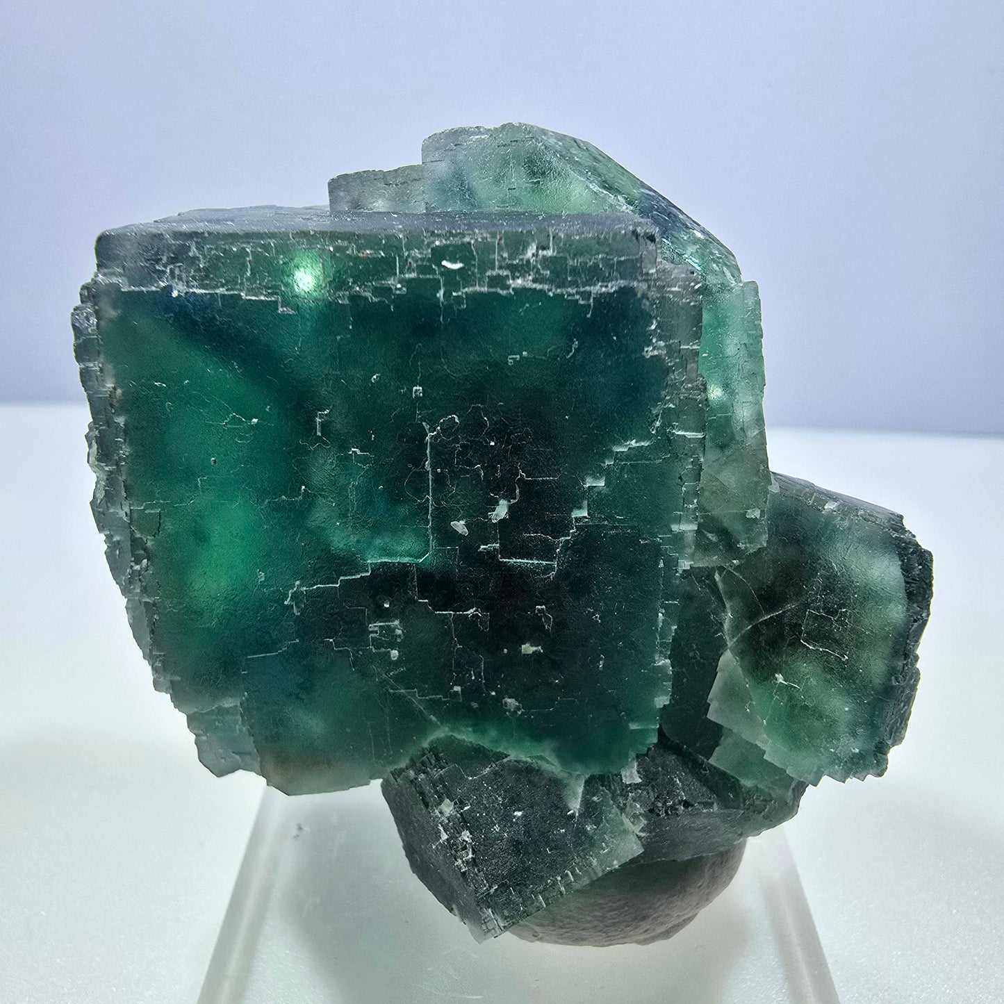 Phantom Fluorit Würfel Stufe parkettiert grün türkis Okorusu, Namibia 65*54*33mm