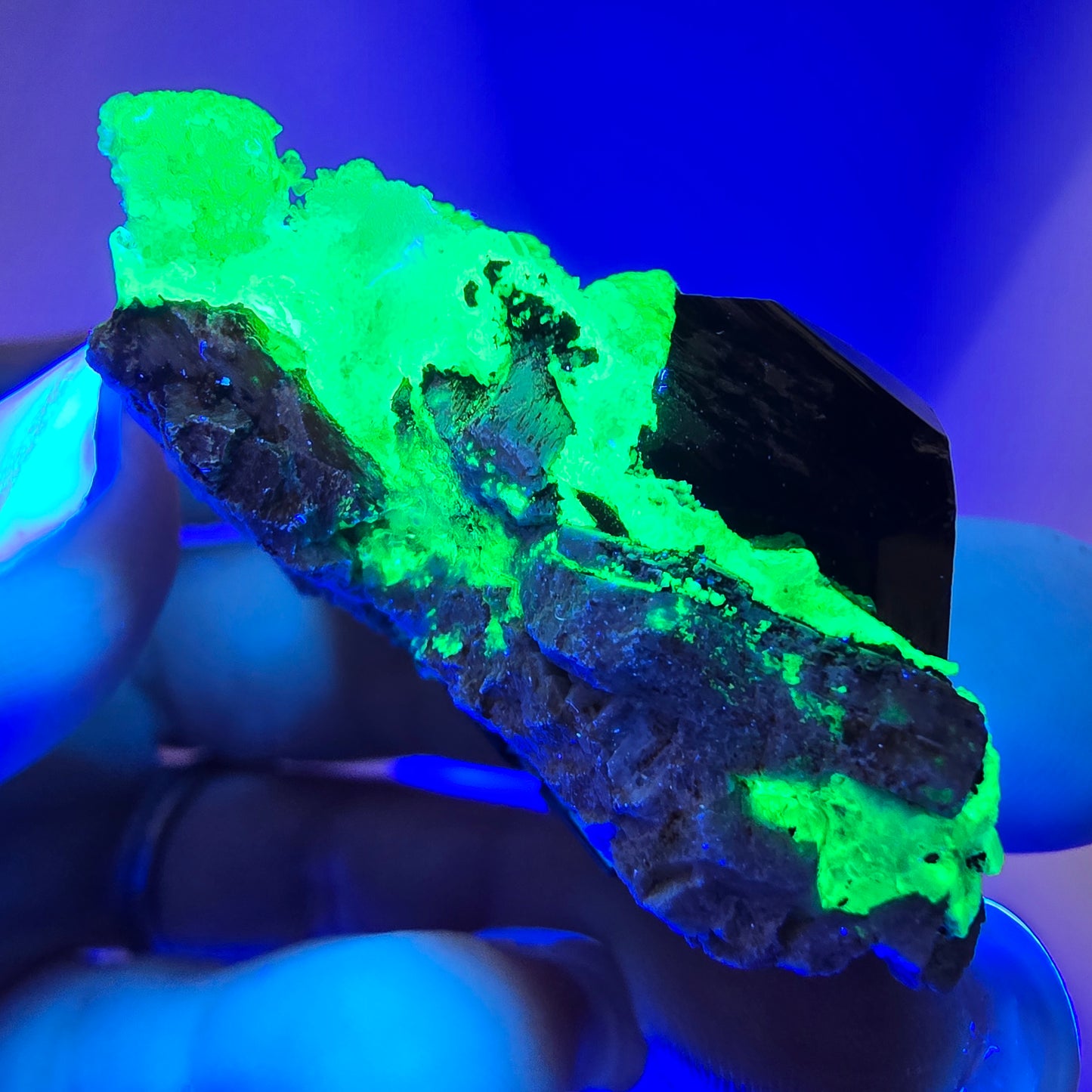 Spécimen rare de tourmaline Schorl et d'opale hyalite, Erongo, Namibie, 43 x 24 x 24 mm