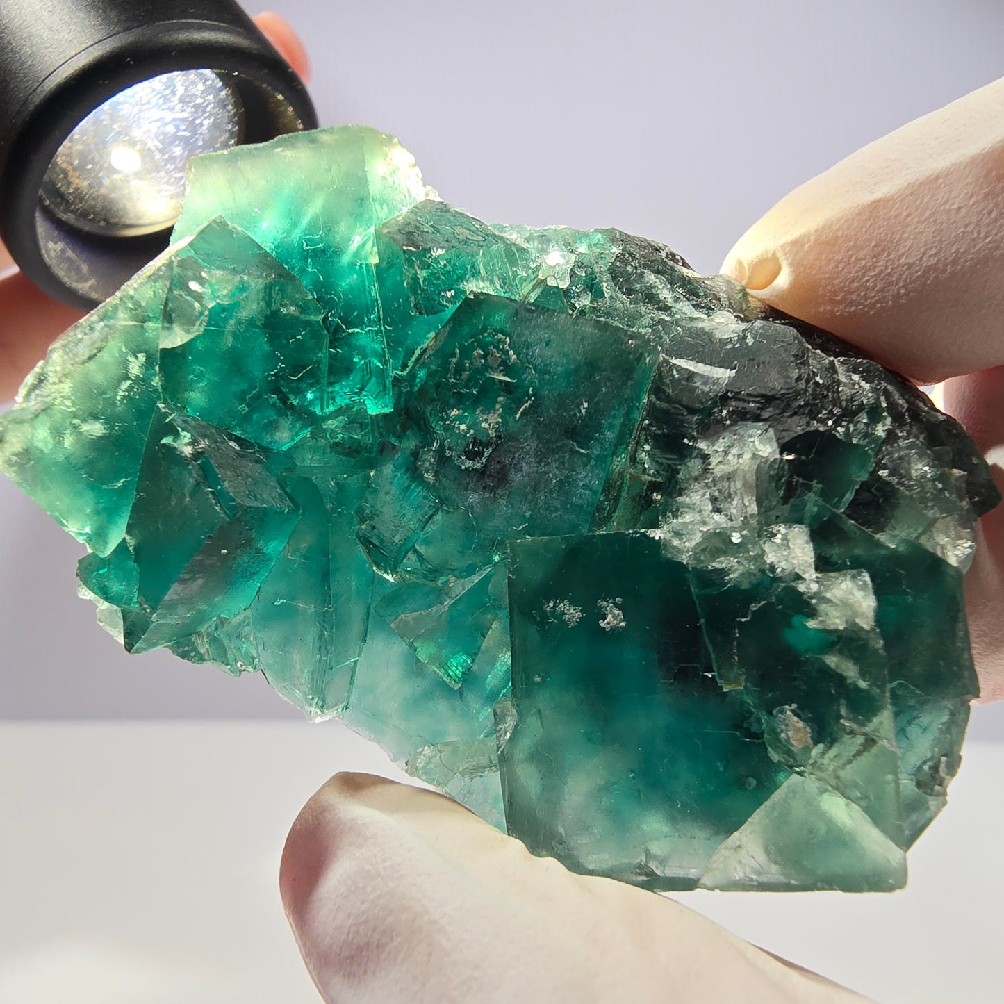 Spécimen de cube de fluorite fantôme transparente, vert parqueté, Okorusu, Namibie, 58 x 45 x 16 mm