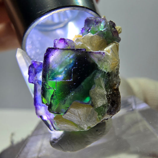 Cubes de fluorite fantôme, muscovite, quartz fumé, hyalite, Erongo, Namibie, 20 x 17 x 16 mm