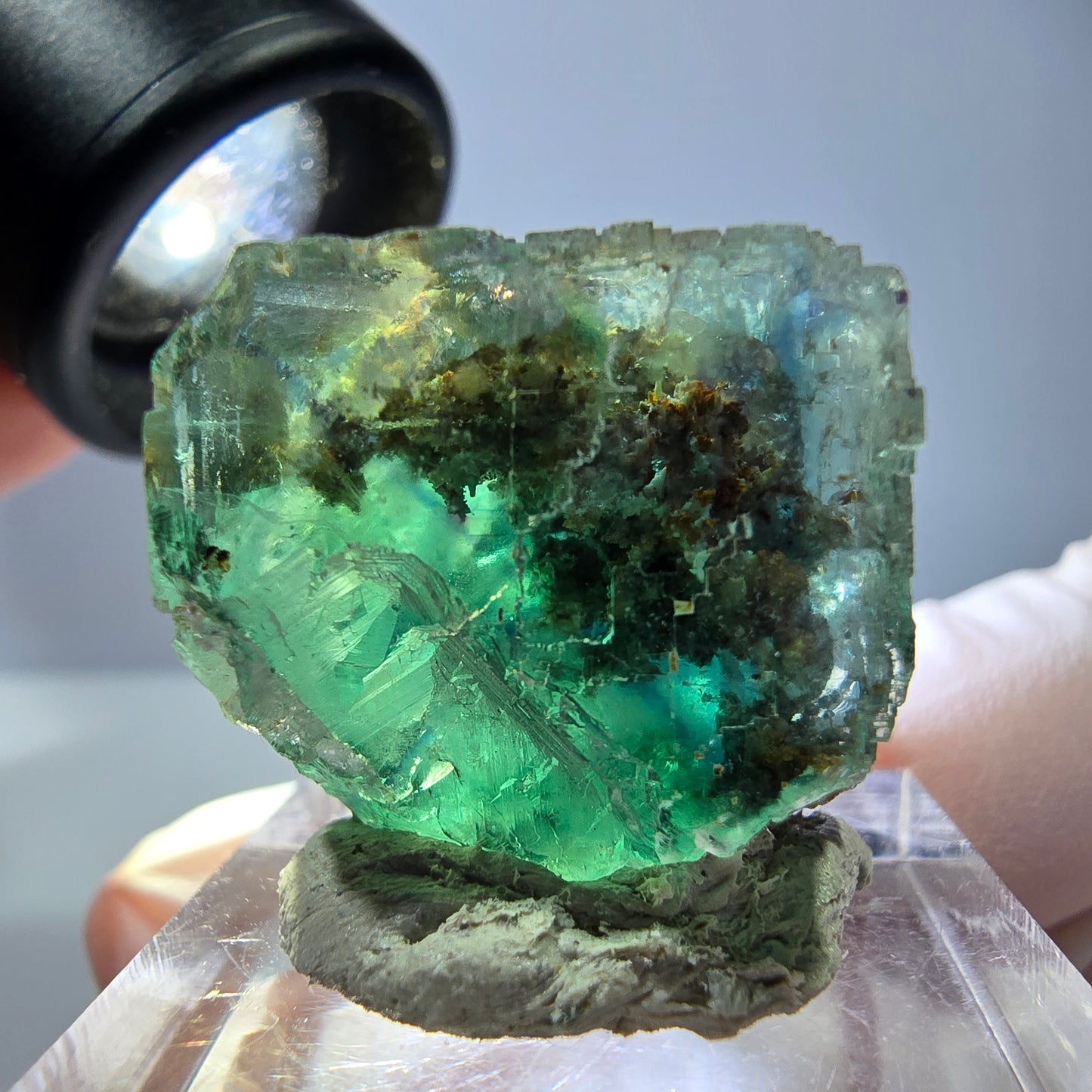 Cube de fluorite fantôme transparente parquetée, vert Okorusu, Namibie 21 x 21 x 19 mm