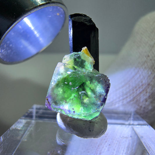 Cube de fluorite fantôme, spécimen de tourmaline schol moscovite, Erongo, Namibie, 19 x 11 x 10 mm