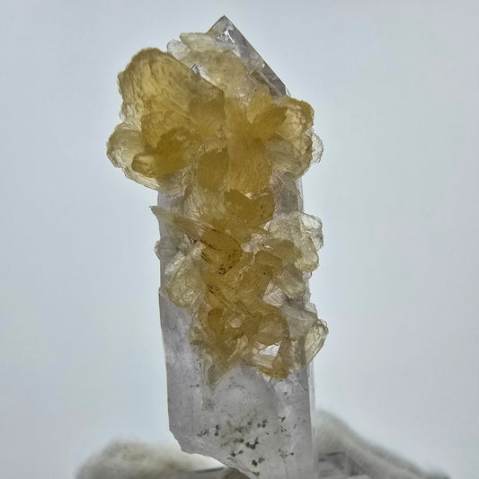 Phantom Amethyst Kristall mit Stilbit Goboboseb, Namibia 48*17*14mm Sammlung