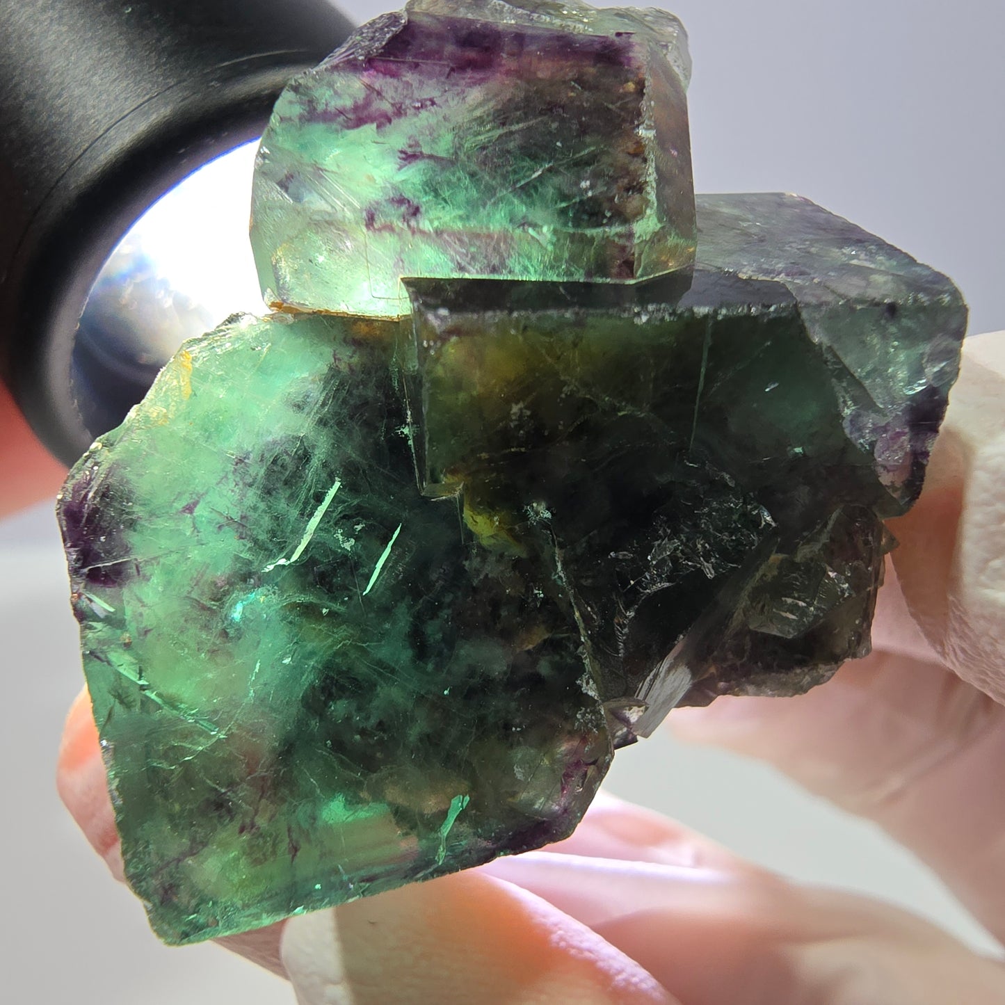 Spécimen de cube de fluorite fantôme, parqueté vert violet Okorusu, Namibie 33*34*21 mm