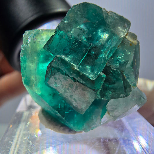 Phantom Fluorit Würfel Stufe, grün parkettiert Okorusu, Namibia 30*22*20mm