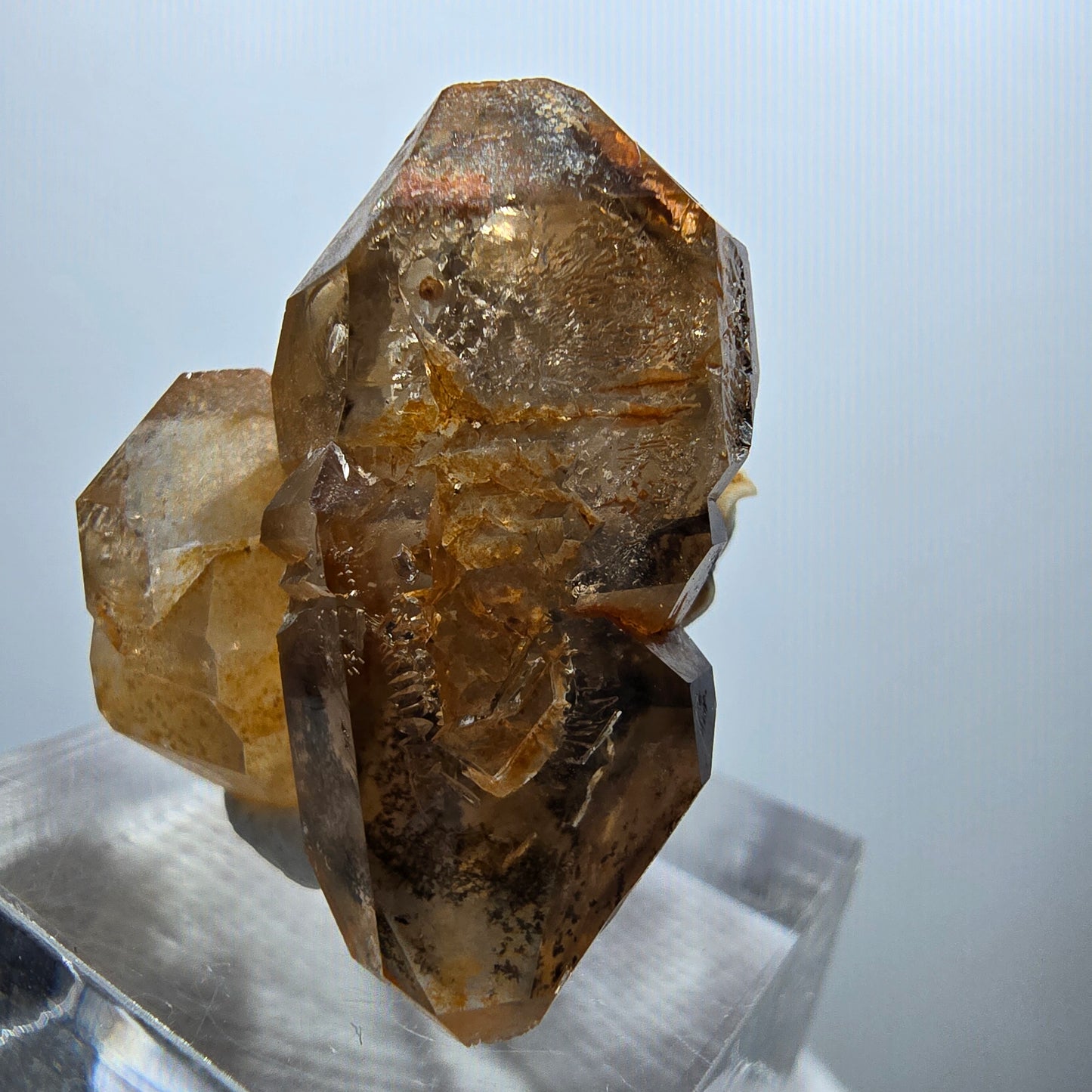 Enhydro Phantom Rauchquarz DT Zepter Stufe, 1x Blase Goboboseb, Namibia 29*23*16mm