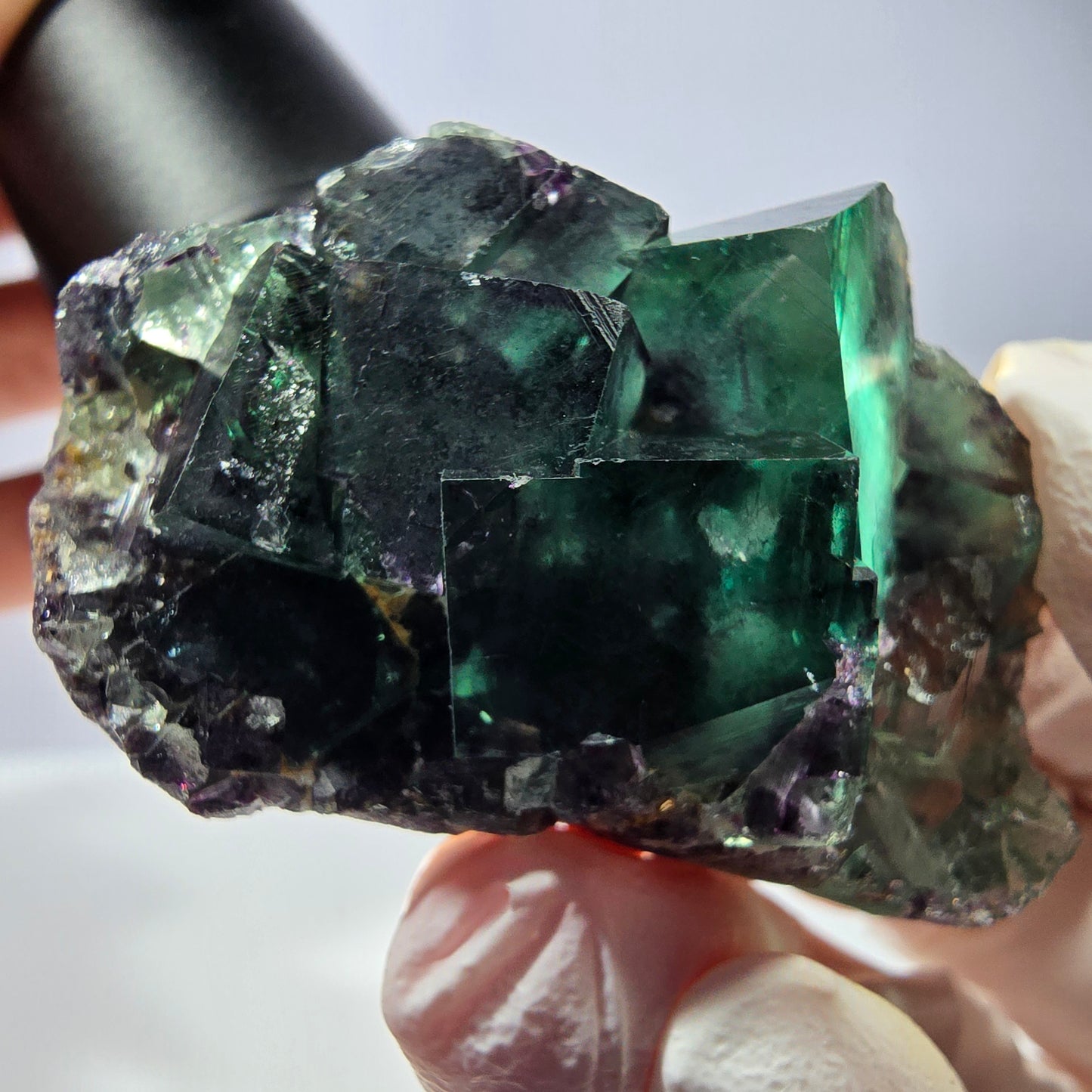 Spécimen de cube de fluorite fantôme, parqueté vert violet Okorusu, Namibie 49*31*21 mm