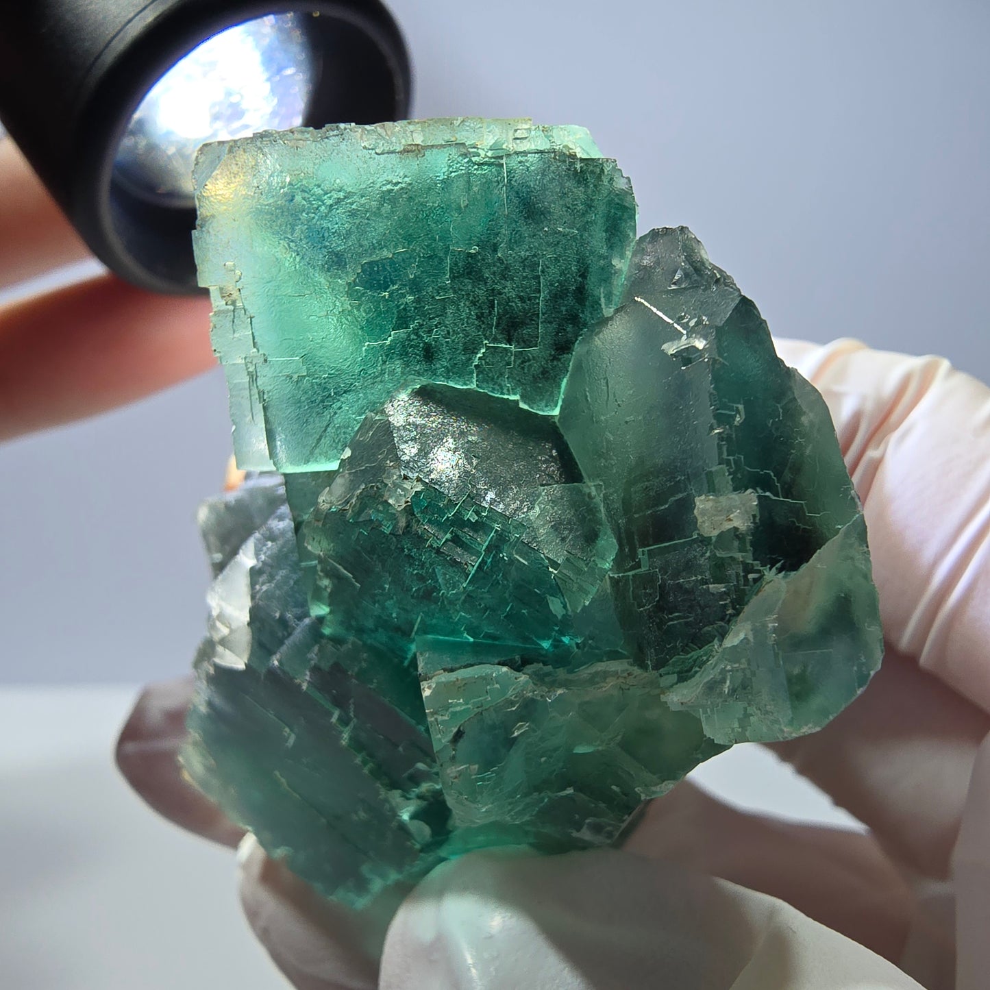 Spécimen de cube de fluorite fantôme transparente, vert parqueté, Okorusu, Namibie, 60 x 45 x 24 mm