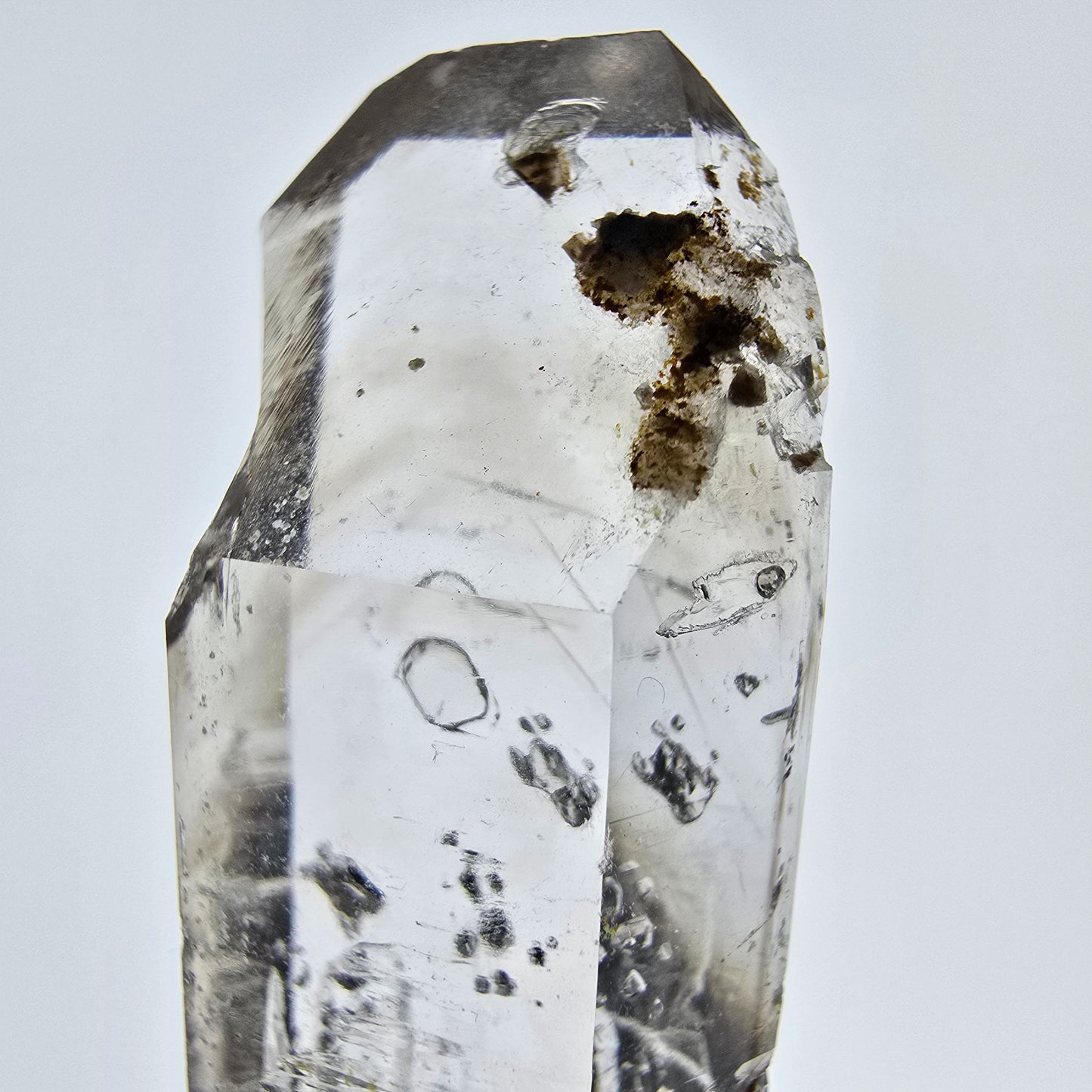 Sceptre squelette en quartz fumé Enhydro, 1 pochette bulle Saint-Valentin, Namibie 65 x 20 x 14 mm
