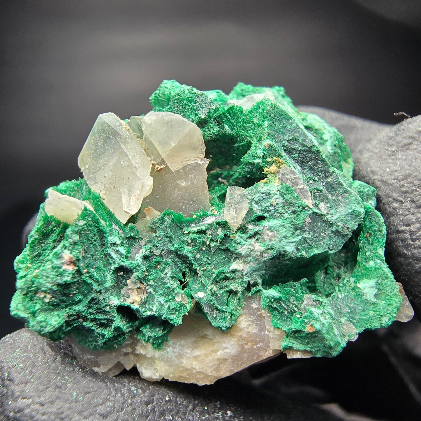 Seltene Malachit Stufe, grün Kaokoveld, Namibia 26*23*15mm Mineraliensammlung