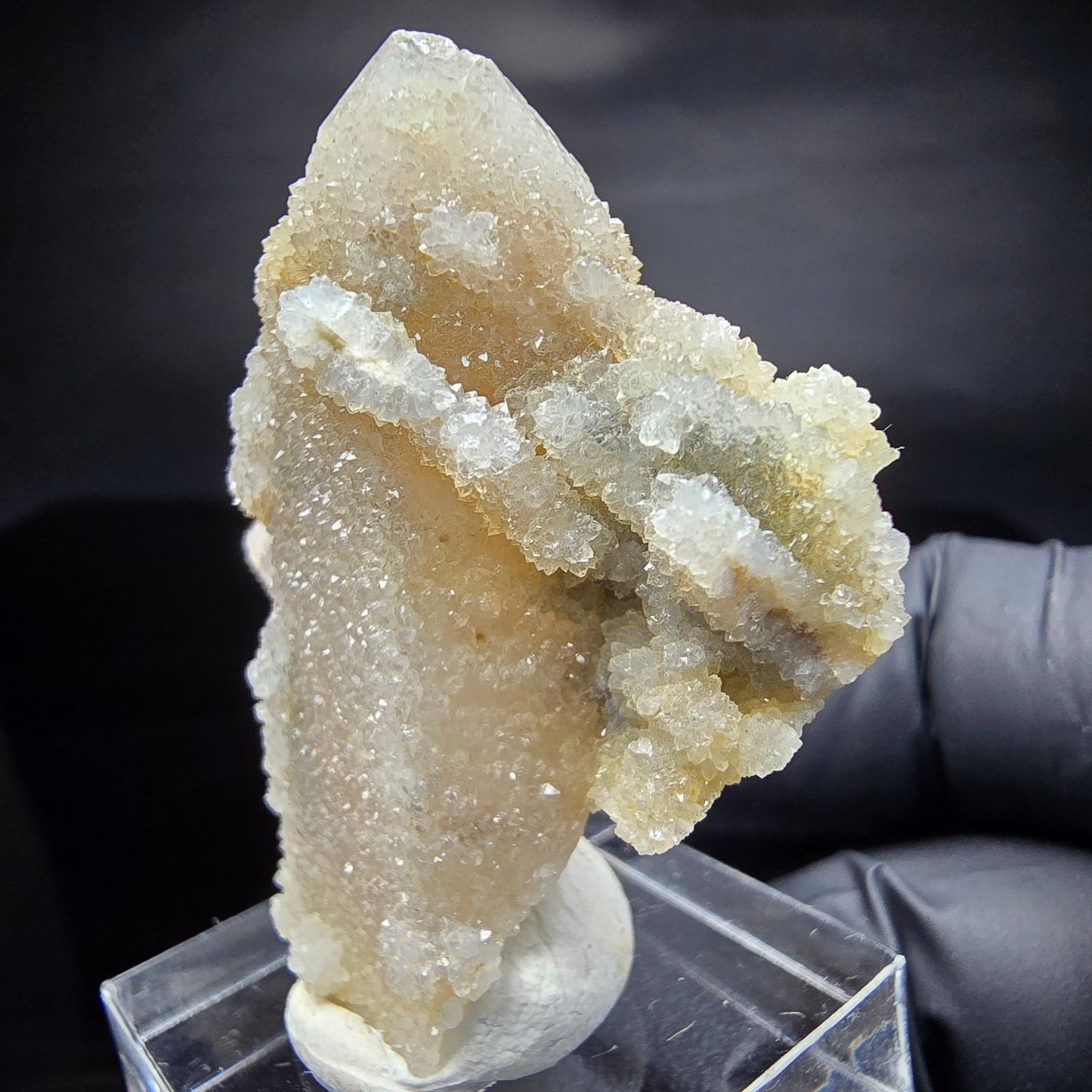 Kaktusquarz, Spirit Quarz XX Stufe Boekenhouthoek, Südafrika 45*37*26mm Sammlung