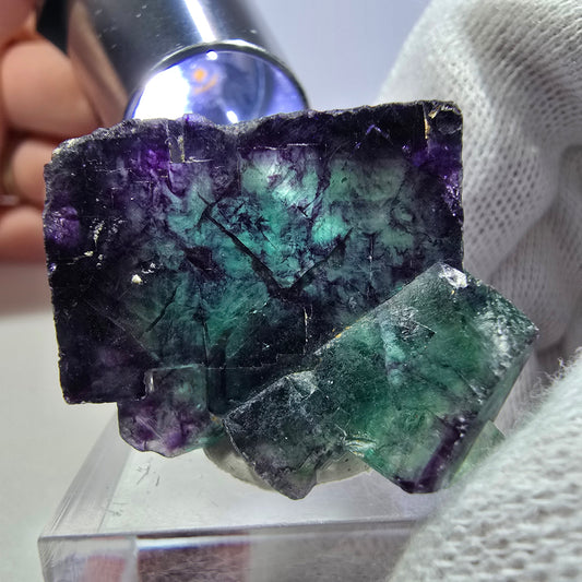 Spécimen rare de cube de fluorite fantôme, vert zonal et violet, Okorusu, Namibie, 39 x 34 x 24 mm