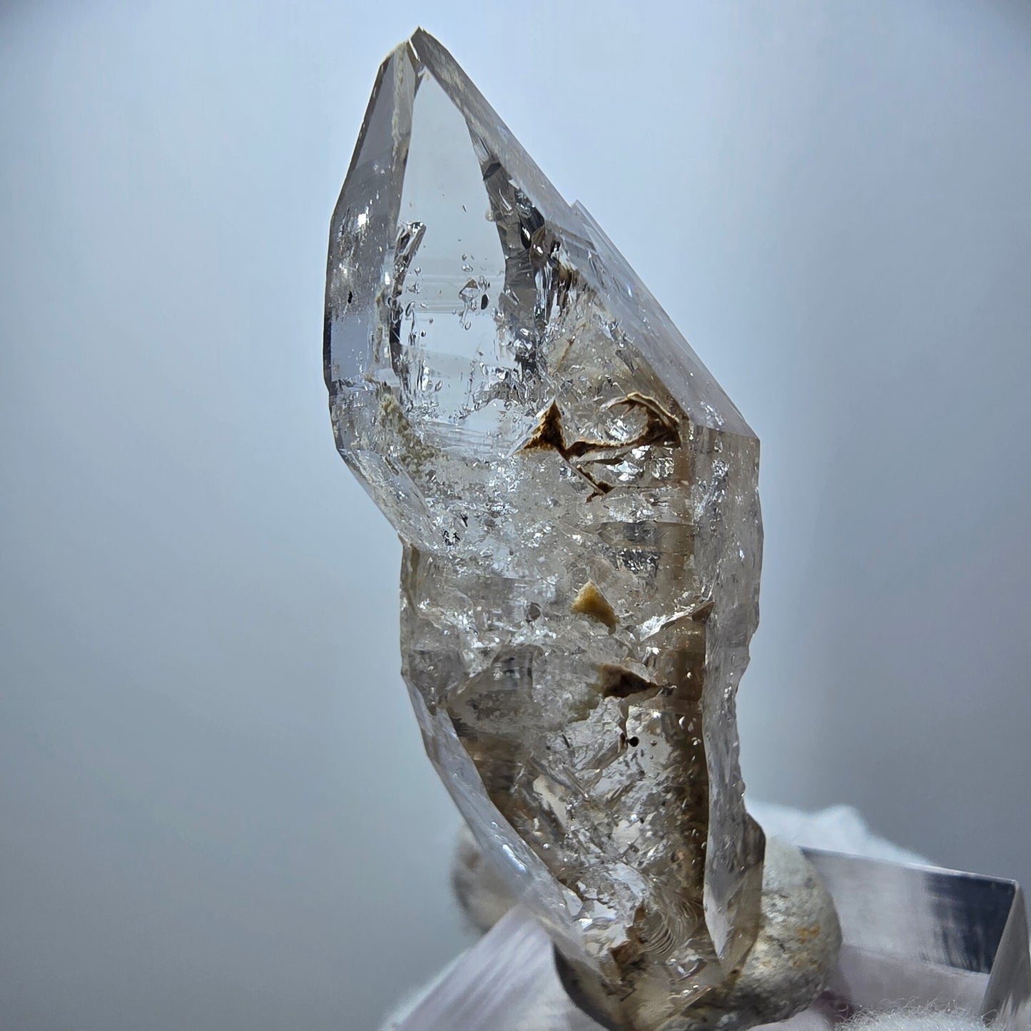Enhydro Phantom Rauchquarz DT Zepter, 2x Blase Goboboseb, Namibia 50*17*16mm