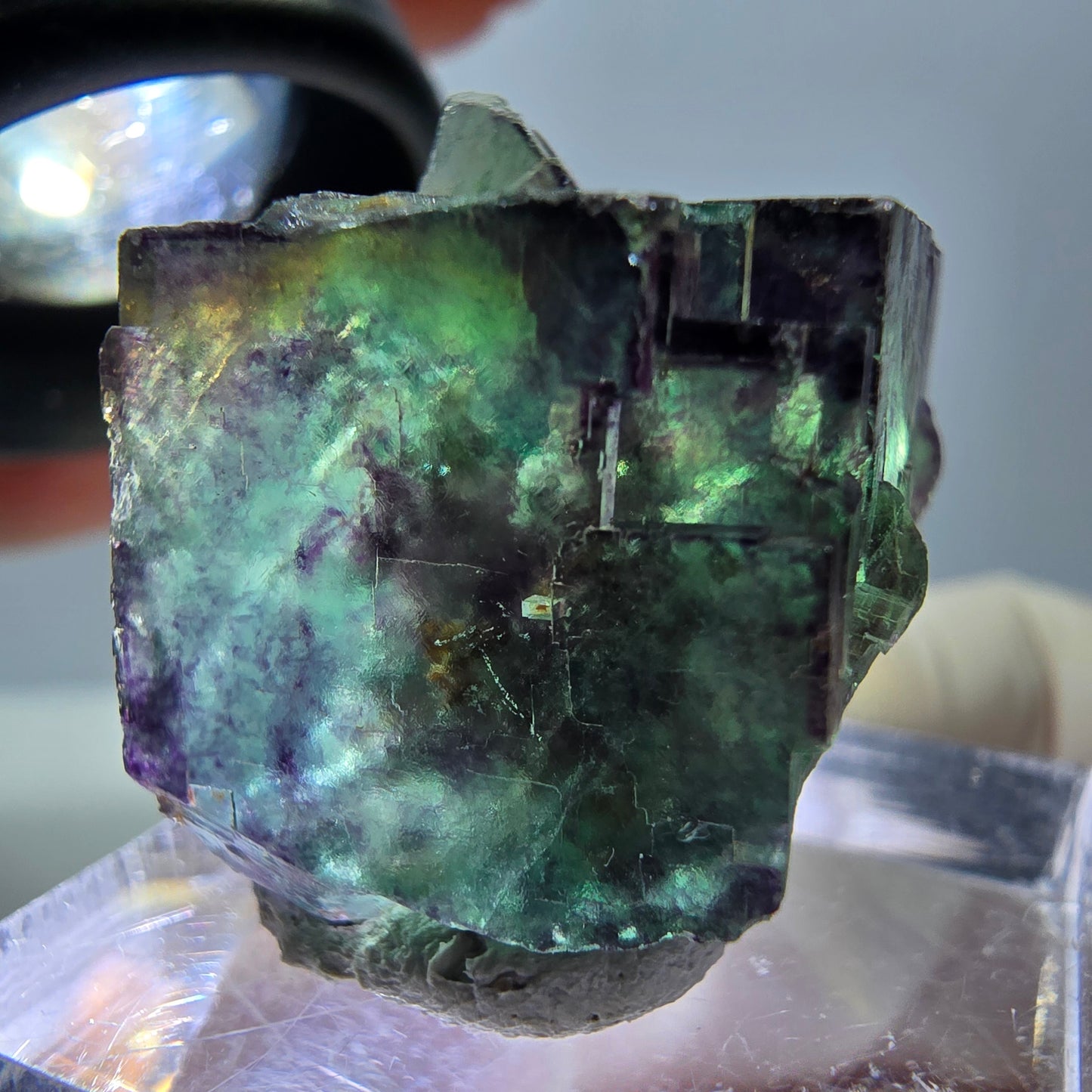 Phantom Fluorit Würfel Stufe, parkettiert, zonal Okorusu, Namibia 23*22*20mm
