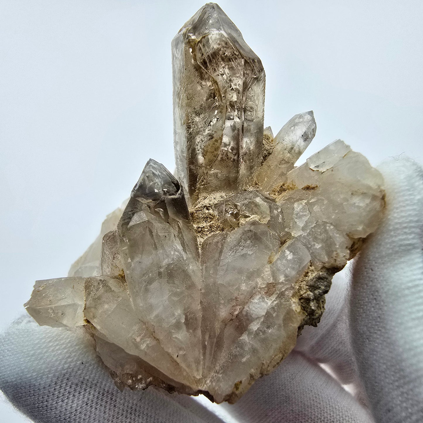Phantom Rauchquarz Zepter auf Matrix Goboboseb, Namibia 57*51*47mm Sammlung
