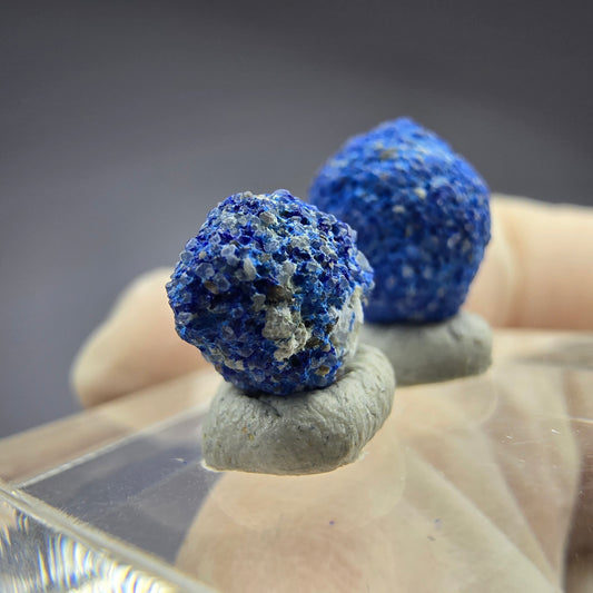 2x seltene Azurit Blueberry - Set 11,7mm + 9,1mm Durchmesser aus USA, New Mexico